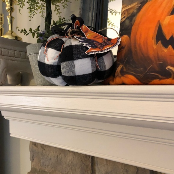 Cloth Pumpkin - Picture 5 of 5